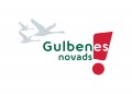 UZŅĒMĒJDARBĪBAS VIDES NOVĒRTĒJUMS UN ATTĪSTĪBAS PERSPEKTĪVAS GULBENES NOVADĀ