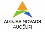 Alojas novada jauniešu aptaujas anketa