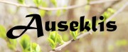 Medijpratība – mūslaiku nepieciešamība