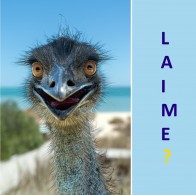 Kā būt laimīgam?