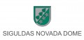 Dāvini ideju Domei 2014